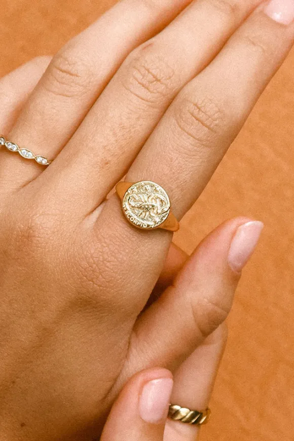 Scorpio Stargazer Zodiac Ring